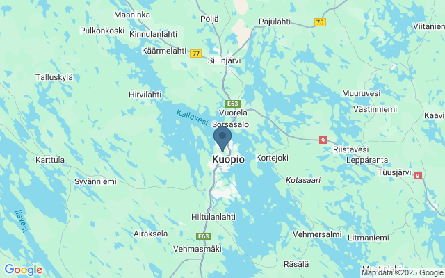 Kaart met locatie Puijo Toren